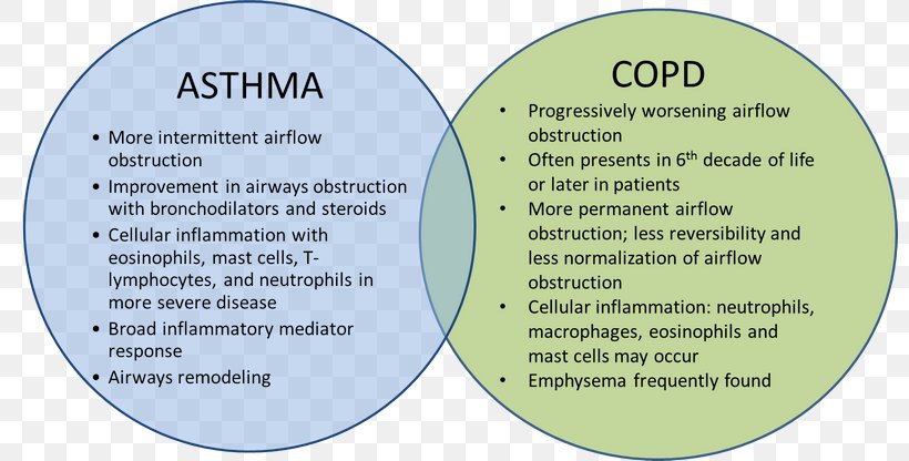 Chronic Obstructive Pulmonary Disease Asthma Bronchitis Cough 