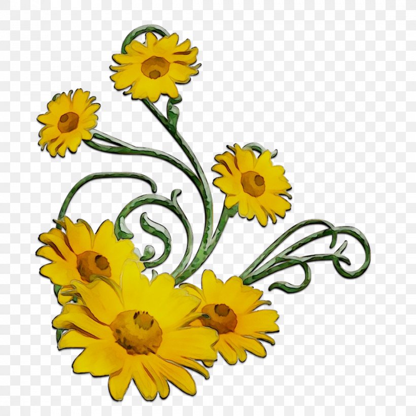 Common Sunflower Chrysanthemum Floral Design Cut Flowers Oxeye Daisy, PNG, 1107x1107px, Common Sunflower, Asterales, Chamomile, Chrysanthemum, Cut Flowers Download Free