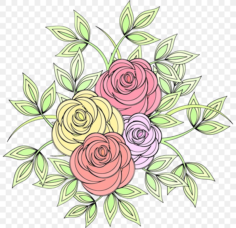 Garden Roses Cut Flowers Clip Art, PNG, 800x794px, Garden Roses, Art, Artwork, Centifolia Roses, Color Download Free