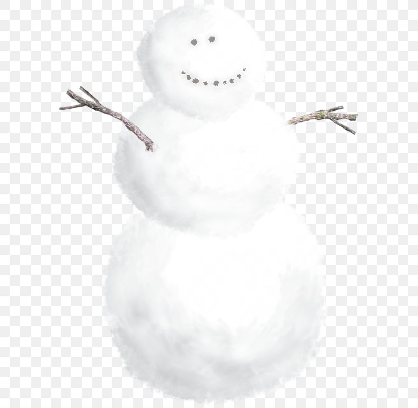 Snowman Flower Winter, PNG, 587x800px, Snowman, Carpe Diem, Flower, Idea, Photography Download Free