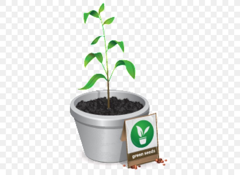 Plant, PNG, 600x600px, Plant, Flowerpot, Global Warming, Herb, Houseplant Download Free