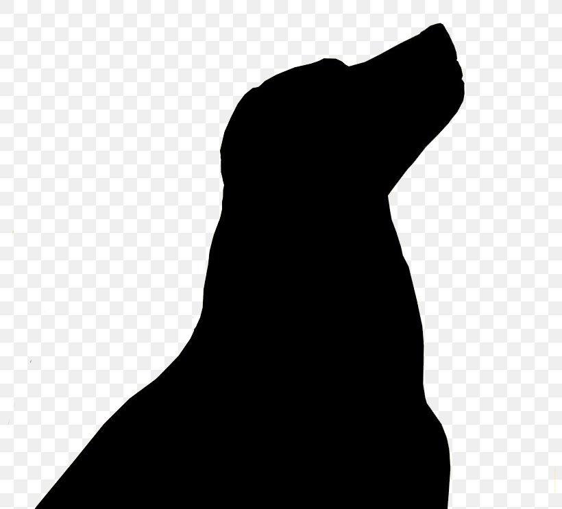 Labrador Retriever Golden Retriever Puppy Bear Creek Labs Kodiak Bear, PNG, 809x743px, Labrador Retriever, American Kennel Club, Bear, Black, Black And White Download Free