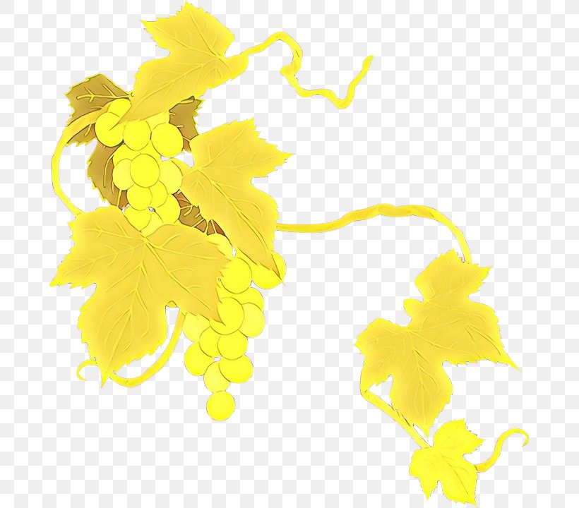 Yellow Leaf Clip Art Plant Vitis, PNG, 679x720px, Cartoon, Leaf, Plant, Vitis, Yellow Download Free