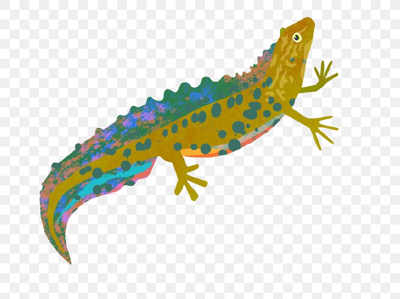 Lizard Painting Illustration, PNG, 781x613px, Lizard, Amphibian, Animal, Art, Cartoon Download Free