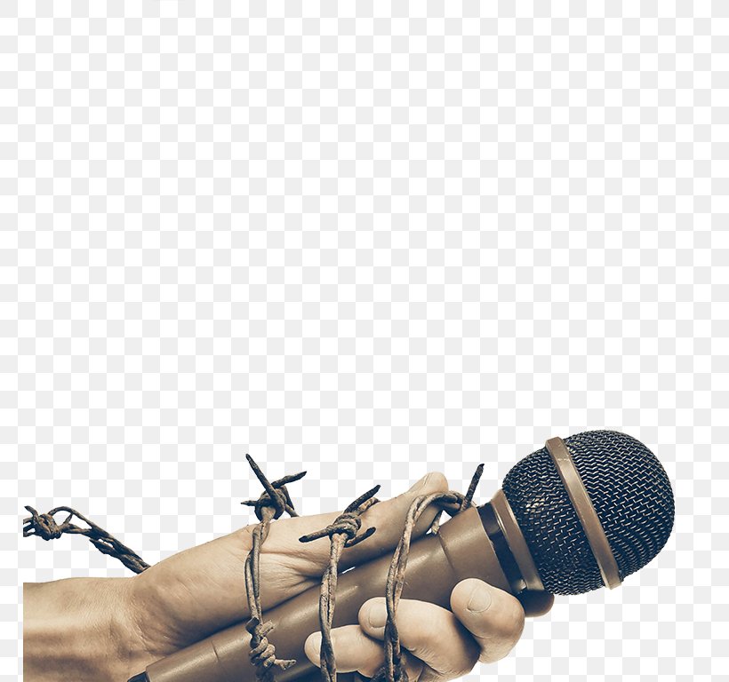 Microphone Shoe, PNG, 768x768px, Microphone, Arm, Audio, Audio Equipment, Outdoor Shoe Download Free