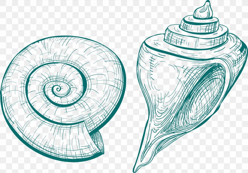 Sea Snail Seashell Shankha Sketch, PNG, 4000x2795px, Watercolor, Cartoon, Flower, Frame, Heart Download Free