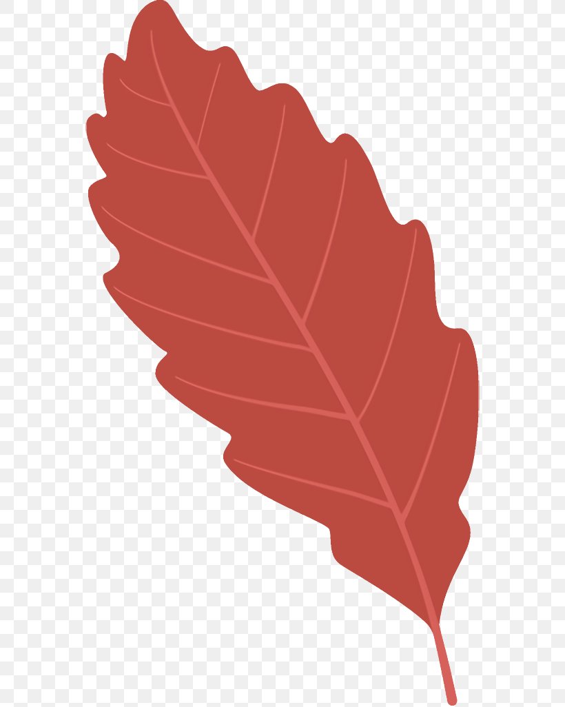 Autumn Leaf Fallen Leaf Dead Leaf, PNG, 572x1026px, Autumn Leaf, Dead Leaf, Deciduous, Fallen Leaf, Flower Download Free