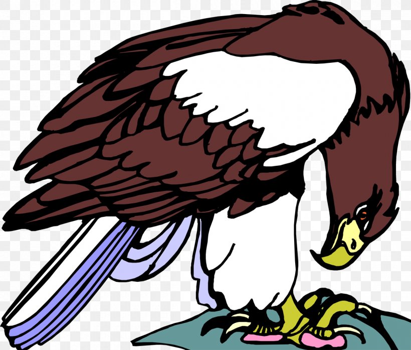 Bald Eagle Hawk Beak Clip Art, PNG, 1200x1020px, Bald Eagle, Artwork, Beak, Bird, Bird Of Prey Download Free