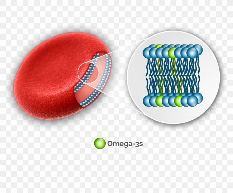 Omega-3 Fatty Acids Red Blood Cell, PNG, 1000x826px, Omega3 Fatty Acids, Blood, Blood Cell, Blood Test, Cell Download Free