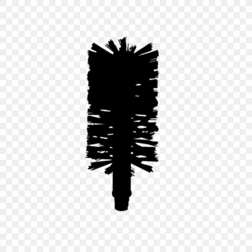 Tree Font Brush Black M, PNG, 1200x1200px, Tree, Black, Black M, Brush, Pine Family Download Free