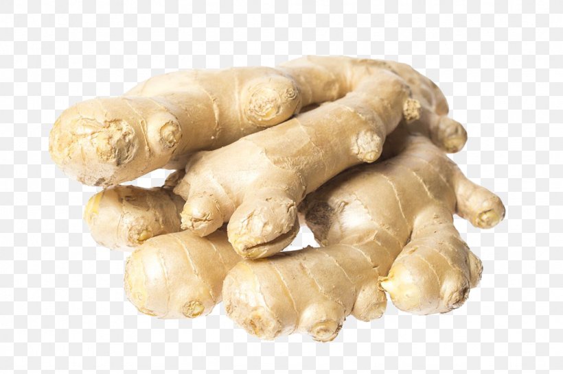 Ginger Food U611fu5192 Eating Extract, PNG, 1024x683px, Ginger, Chinese Herbology, Drinking, Eating, Extract Download Free