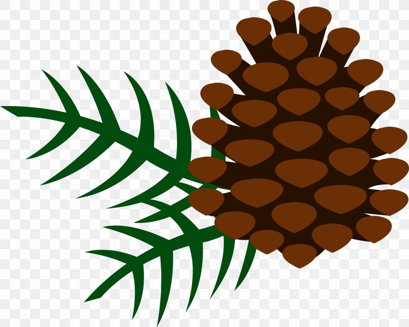 Pine Conifer Cone Tree Clip Art, PNG, 6543x5237px, Pine, Branch, Conifer Cone, Drawing, Eastern White Pine Download Free