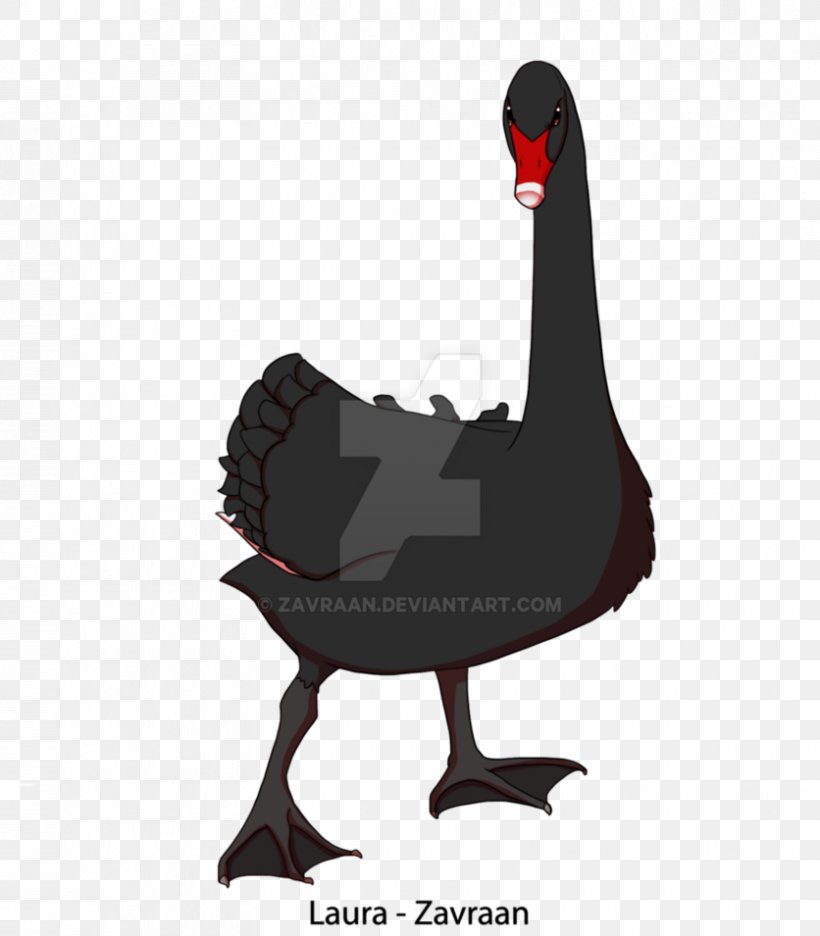 Chicken Comics Goose Duck Cartoon, PNG, 836x955px, Chicken, Beak, Bird, Black Swan, Cartoon Download Free