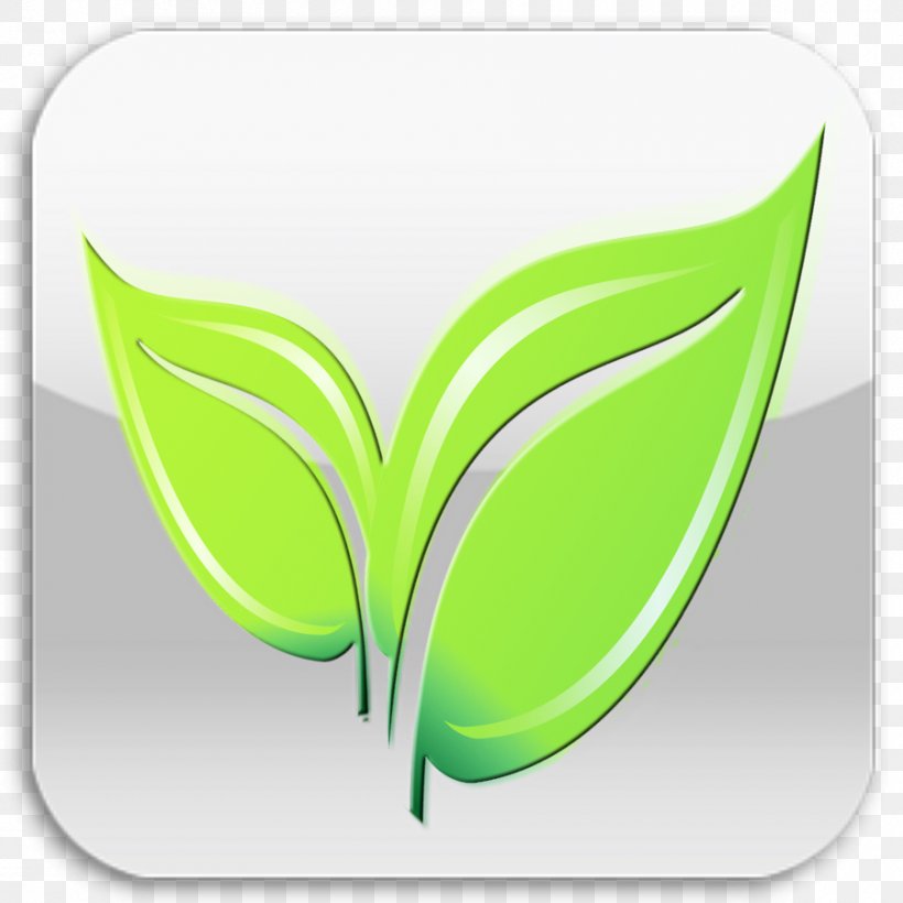 Leaf Font, PNG, 900x900px, Leaf, Grass, Green, Moths And Butterflies, Plant Download Free