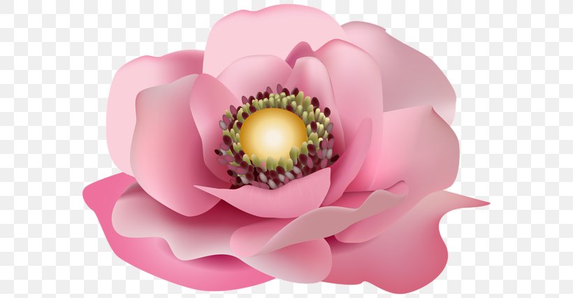Pink Flower Floral Design Clip Art, PNG, 600x426px, Pink, Art, Bud, Floral Design, Flower Download Free