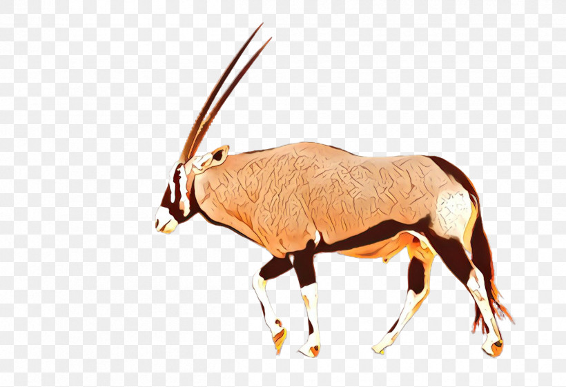 Antelope Oryx Gemsbok Wildlife Cow-goat Family, PNG, 2416x1655px, Antelope, Animal Figure, Cowgoat Family, Fawn, Gazelle Download Free