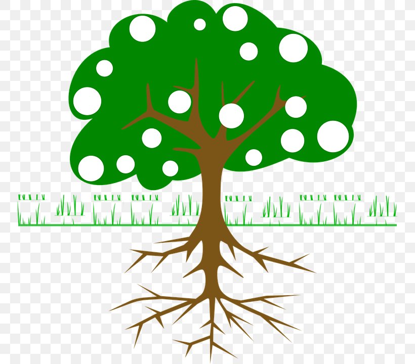 Clip Art Tree Openclipart Branch Root, PNG, 752x720px, Tree, Area, Artwork, Branch, Brand Download Free