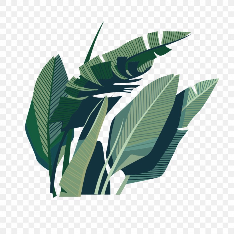 Leaf Coconut Illustration, PNG, 1024x1024px, Leaf, Arecaceae, Art, Coconut, Contour Drawing Download Free