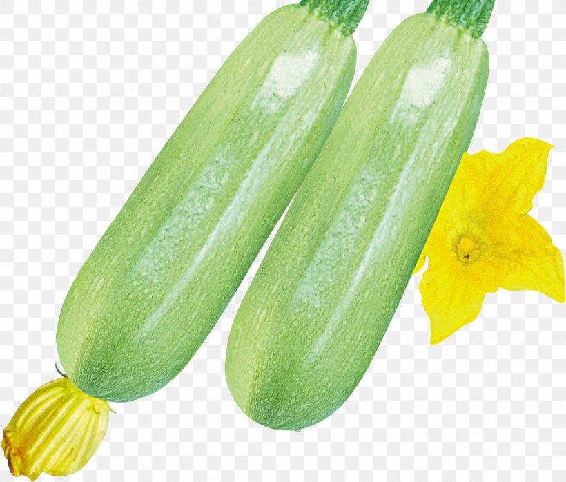 Pickled Cucumber Pepino, PNG, 1110x945px, Cucumber, Cucumber Gourd And Melon Family, Cucumis, Food, Gherkin Download Free