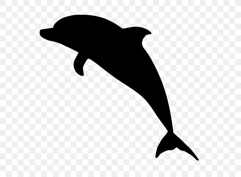 Common Bottlenose Dolphin Image Clip Art, PNG, 600x600px, Dolphin, Aesthetics, Art, Bottlenose Dolphin, Cetacea Download Free