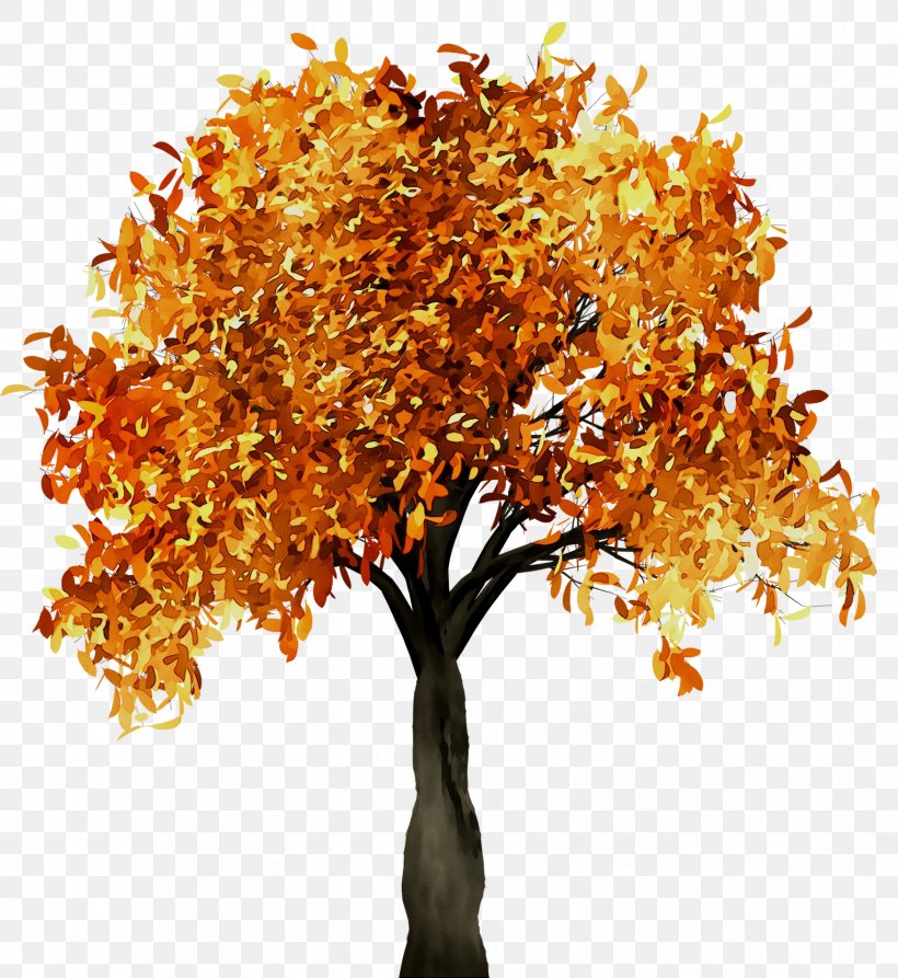Fall Tree Branch Trunk, PNG, 1754x1912px, Tree, Amber, Autumn, Autumn Leaf Color, Branch Download Free
