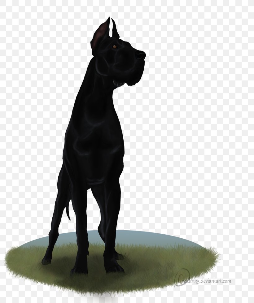 Great Dane Cane Corso Dog Breed Samsung Galaxy C7 Odin, PNG, 816x979px, Great Dane, Breed, Breed Group Dog, Cane Corso, Carnivoran Download Free