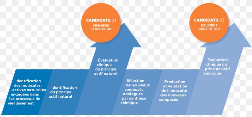 Strategy Biophytis Screening Economic Development Research, PNG, 1639x761px, Strategy, Bison Bonasus, Brand, Business, Communication Download Free