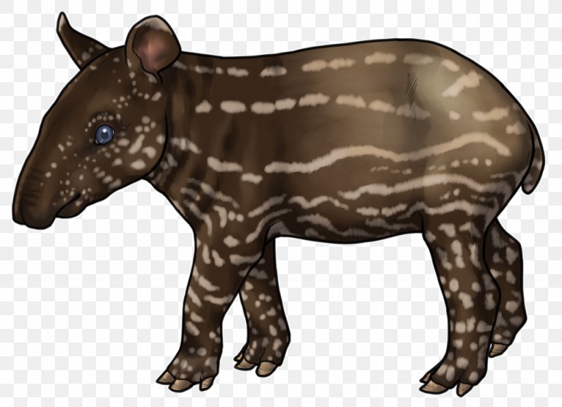 Tapir Snout Terrestrial Animal Fur Carnivora, PNG, 1024x743px, Tapir, Animal, Carnivora, Carnivoran, Fauna Download Free