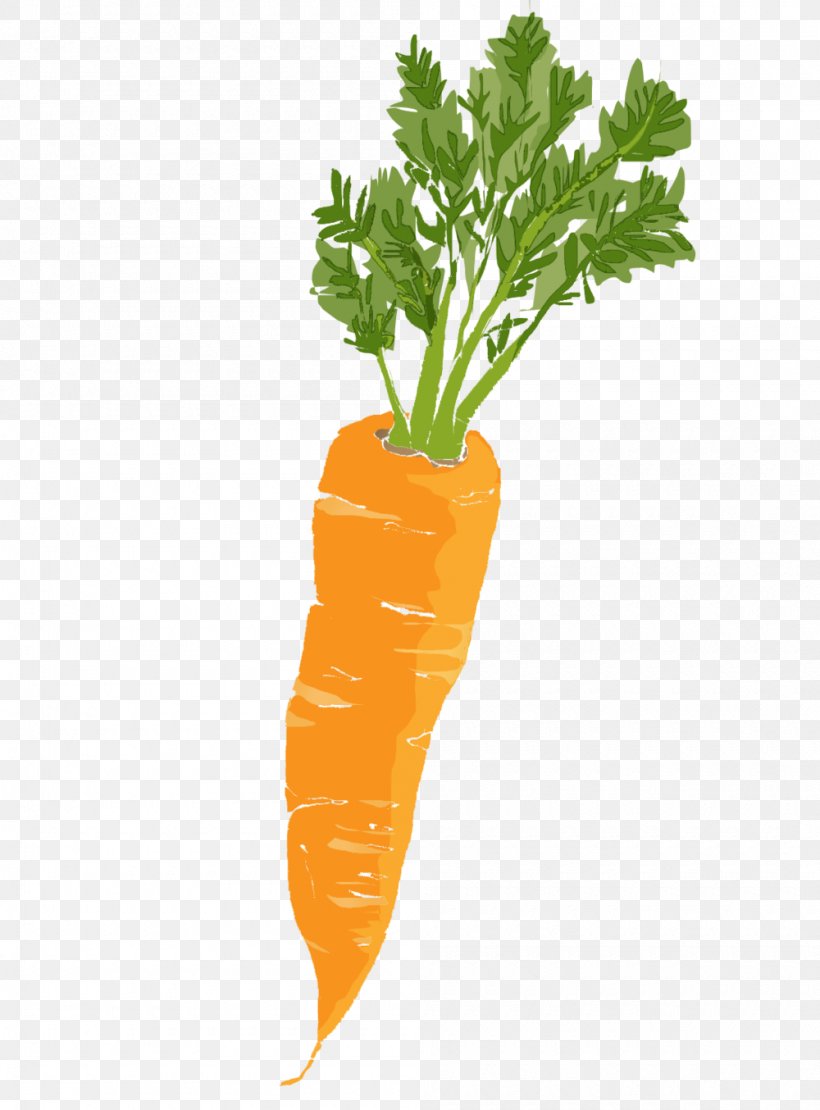 Baby Carrot Leaf Vegetable, PNG, 1000x1354px, Carrot, Baby Carrot, Chard, Company, Email Download Free