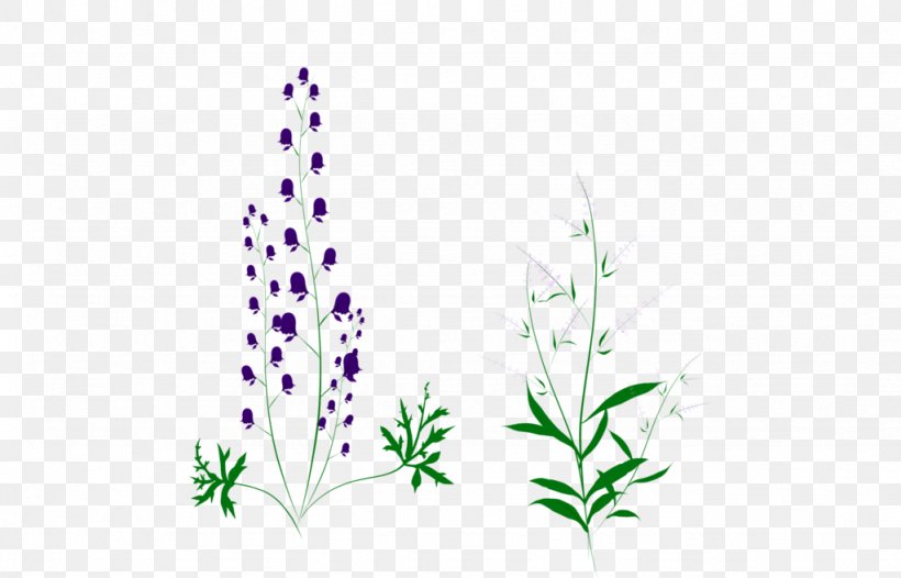 Lavender Grasses Plant Stem Leaf Font, PNG, 1024x657px, Lavender, Aquarium, Aquarium Decor, Branch, Family Download Free