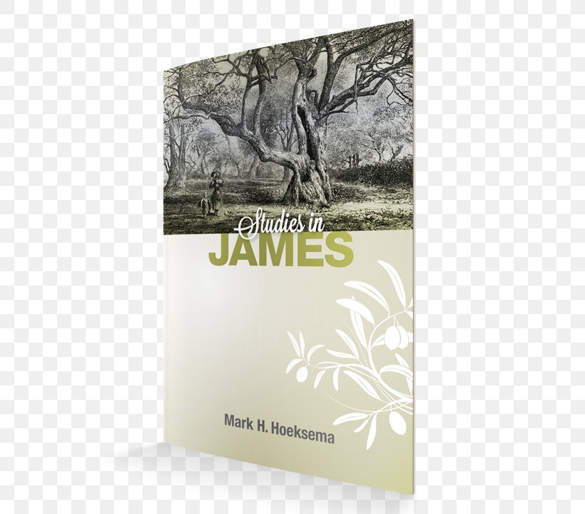 Studies In James James, Studies In Acts, Studies In Book Epistle To The Hebrews, PNG, 600x720px, Book, Brand, Christian Church, Church, Continental Reformed Church Download Free