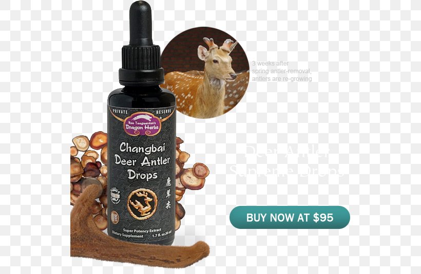 Deer Dragon Herbs The Ginsengs Antler Flavor, PNG, 545x535px, Deer, Animal, Antler, Dragon Herbs, Elixir Download Free