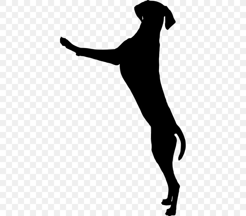 Dog Breed Puppy Greenland Dog Dog Training Clip Art, PNG, 419x720px, Dog Breed, Animal Shelter, Black, Black And White, Carnivoran Download Free