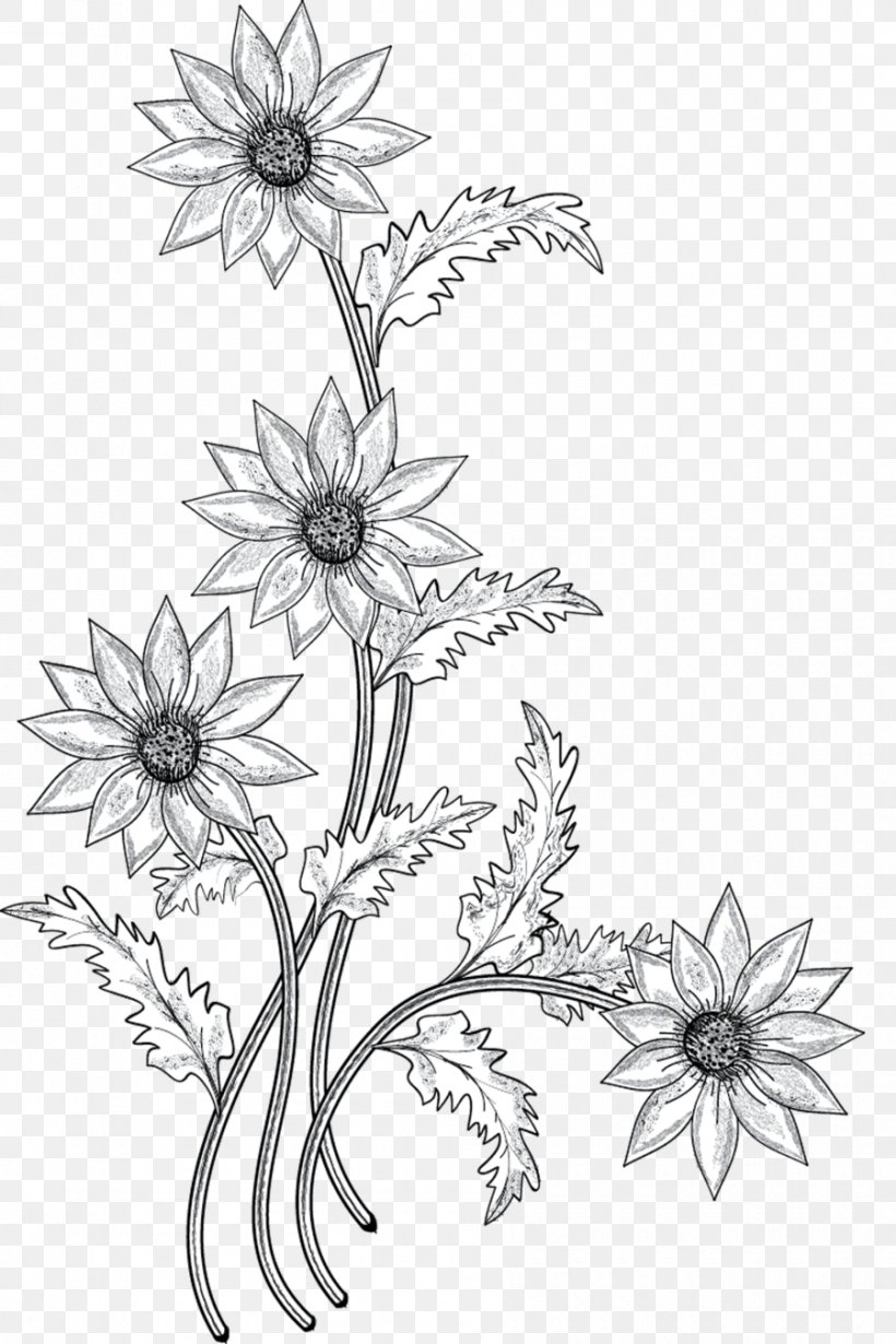 Flower Drawing Clip Art, PNG, 900x1351px, Flower, Area, Artwork, Black And White, Branch Download Free