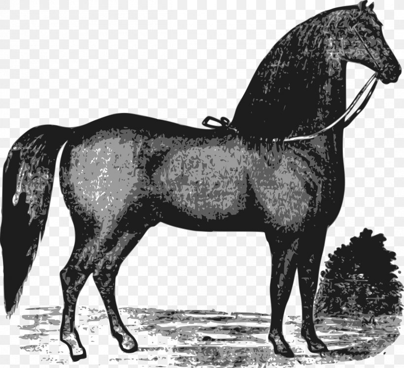 Mare Stallion Mustang Rein Clip Art, PNG, 2400x2188px, Mare, Animal, Black And White, Bridle, Equestrian Download Free