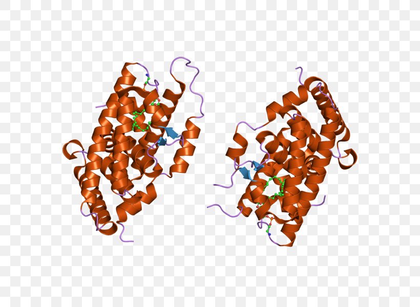 Steroidogenic Factor 1 XY Gonadal Dysgenesis Steroidogenic Acute Regulatory Protein Sex-determination System, PNG, 800x600px, Steroidogenic Factor 1, Art, Gene, Gland, Gonad Download Free