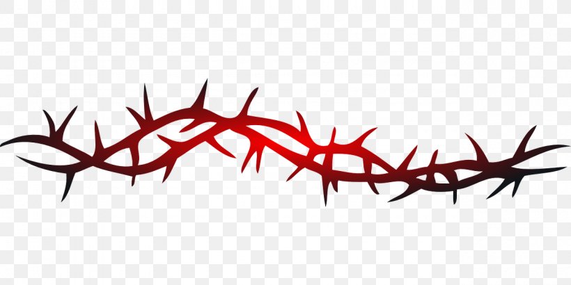 Thorns, Spines, And Prickles Vine Rose Crown Of Thorns Clip Art, PNG, 1280x640px, Thorns Spines And Prickles, Antler, Crown Of Thorns, Drawing, Honey Locust Download Free