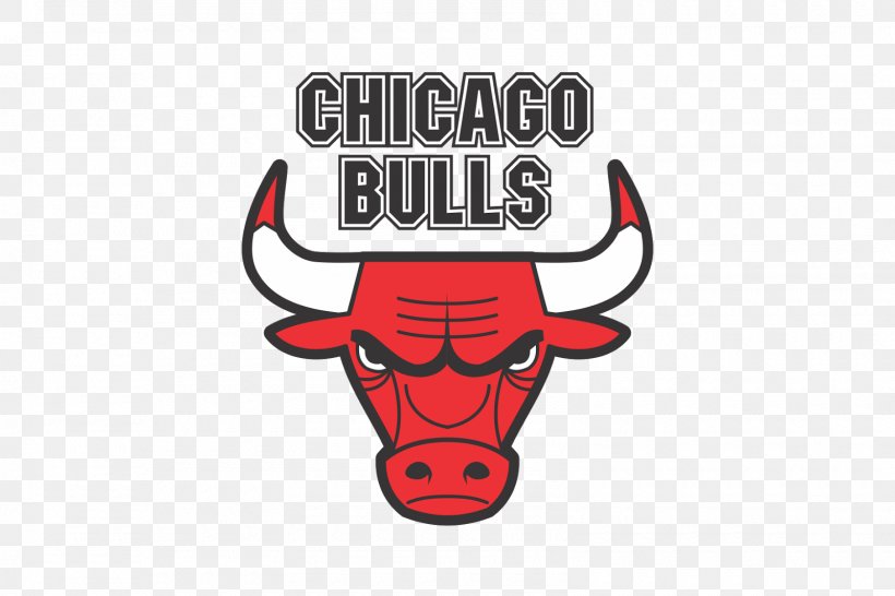 United Center Chicago Bulls NBA Phoenix Suns Washington Wizards, PNG, 1600x1067px, United Center, Basketball, Brand, Cattle Like Mammal, Chicago Download Free