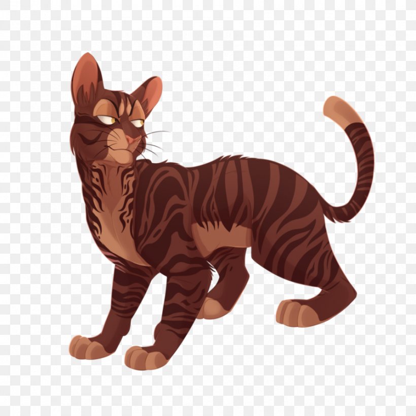 Whiskers Tabby Cat Paw Tail, PNG, 894x894px, Whiskers, Animal, Animal Figure, Carnivoran, Cat Download Free