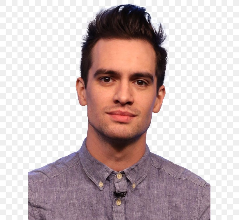Brendon Urie Panic! At The Disco Singer-songwriter I Write Sins Not Tragedies Emo, PNG, 625x756px, Watercolor, Cartoon, Flower, Frame, Heart Download Free