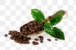 Coffee Beans - Coffee Bean Cafe Burr Mill PNG