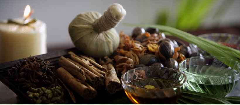 Organic Food Herb Ayurveda Medicine Turmeric, PNG, 1366x601px, Organic Food, Abhyanga, Ayurveda, Basti, Detoxification Download Free