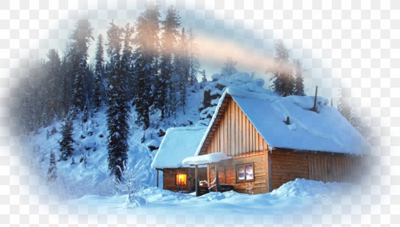 09738 Property Desktop Wallpaper Winter Computer, PNG, 1006x572px, Property, Arctic, Computer, Home, House Download Free