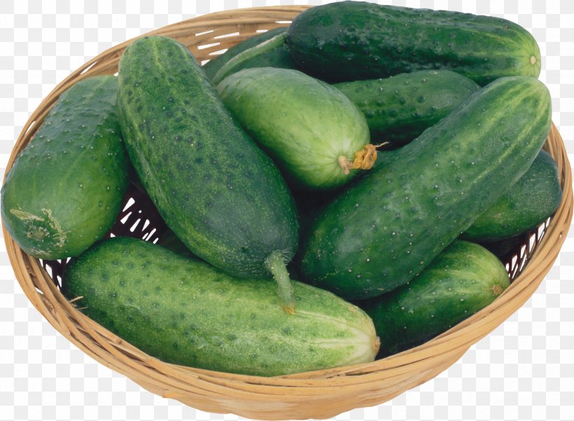 Auglis Cucumber Cultivar Tomato Vegetable, PNG, 2405x1768px, Auglis, Citrullus Lanatus, Cucumber, Cucumber Gourd And Melon Family, Cucumis Download Free