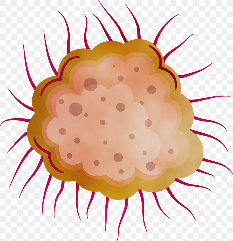 Baking Cup Pollen, PNG, 2900x3000px, Coronavirus, Baking Cup, Corona, Covid, Paint Download Free