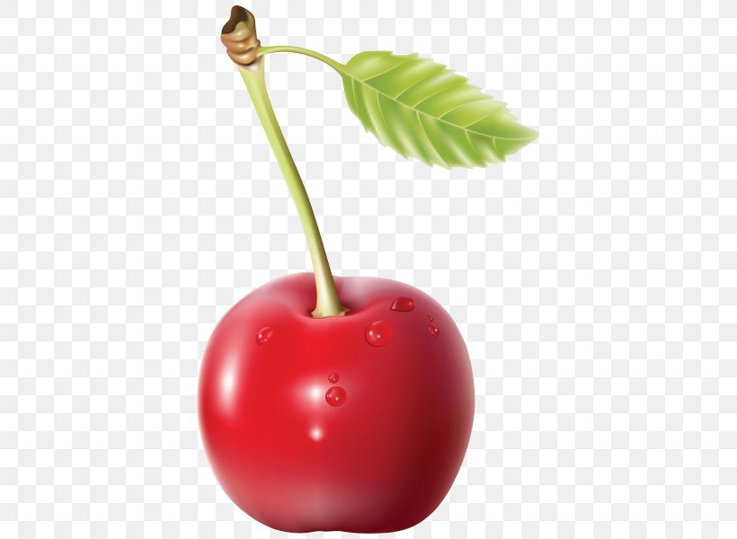 Cherry Clip Art, PNG, 383x600px, Cherry, Apple, Barbados Cherry, Berry, Display Resolution Download Free