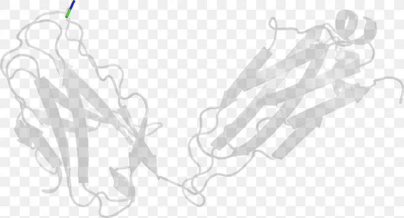 Line Art Drawing White, PNG, 923x500px, Line Art, Artwork, Black And White, Branch, Drawing Download Free