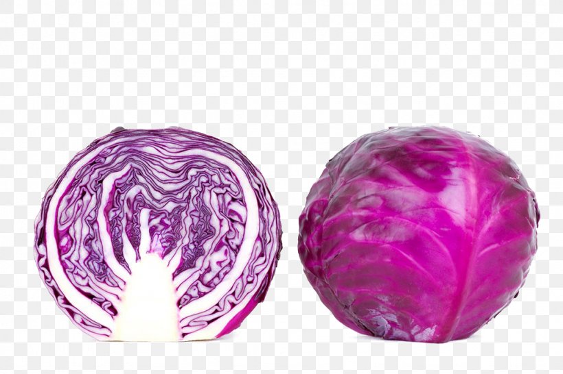 Red Cabbage Vegetable Diabetes Mellitus Eating, PNG, 1024x683px, Red Cabbage, Blood Sugar, Brassica Oleracea, Cabbage, Diabetes Mellitus Download Free