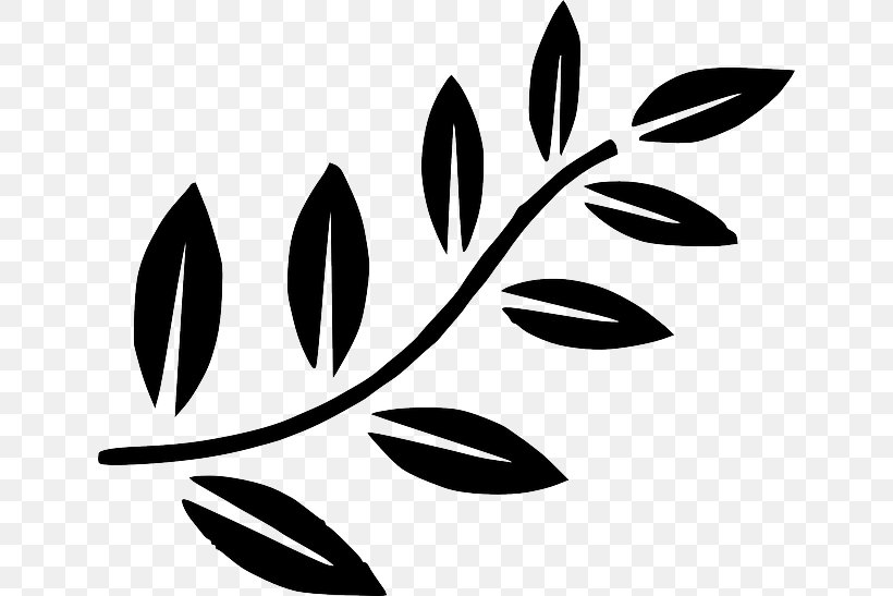 Branch Leaf Tree Clip Art, PNG, 640x547px, Branch, Bay Laurel, Black, Black And White, Flora Download Free