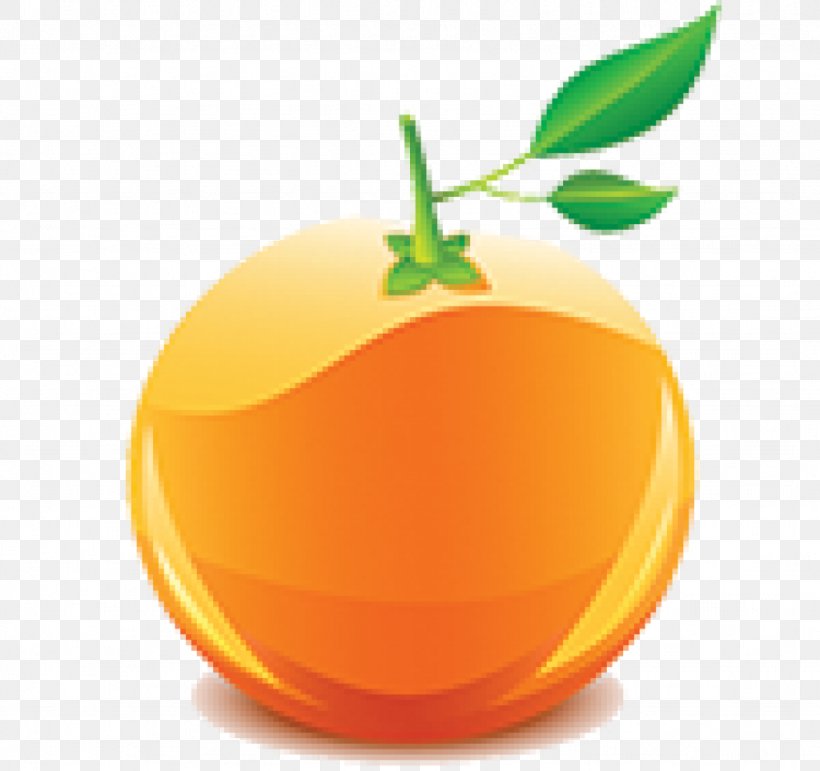 Juice Grapefruit Lemon Mandarin Orange, PNG, 1024x963px, Juice, Apple, Cherry, Citrus, Clementine Download Free